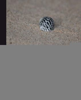 Paperback Nginx 7 Web Server Implementation Cookbook Book