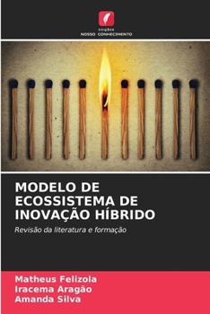 MODELO DE ECOSSISTEMA DE INOVAÇÃO HÍBRIDO: Revisão da literatura e formação (Portuguese Edition)