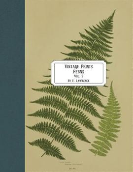 Paperback Vintage Prints: Ferns: Vol. 9 Book