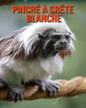 Pinché à Crête Blanche: Recueil pour Enfants de Belles Images & d’Informations Intéressantes Concernant les Pinché à Crête Blanche