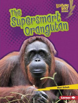 The Supersmart Orangutan - Book  of the Supersmart Animals