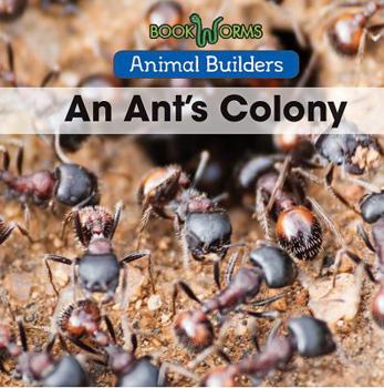 Library Binding An Ant's Colony Book