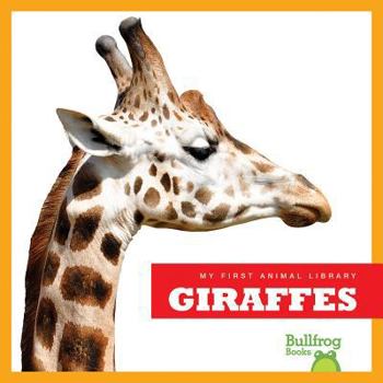 Hardcover Giraffes Book