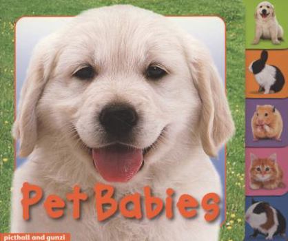 Hardcover Pet Babies (Animal Tabs) Book
