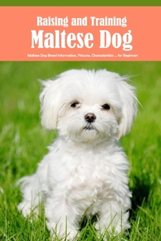 Paperback Raising and Training Maltese Dog: Maltese Dog Breed Information, Pictures, Characteristics ... for Beginners: Complete Pet Owner's Manuals Book