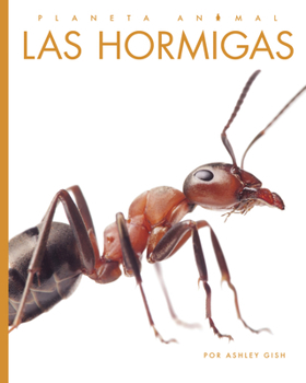 Library Binding Las Hormigas [Spanish] Book