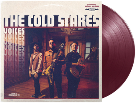 Vinyl Voices   Burgundy Book