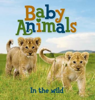 Board book Baby Animals in the Wild Book