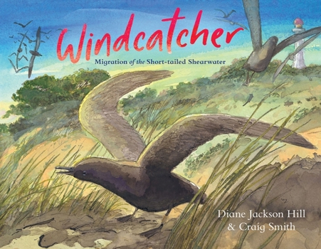 Hardcover Windcatcher: Migration of the Short-Tailed Shearwater Book