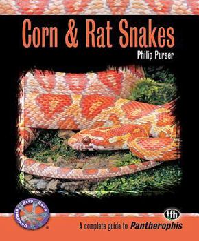 Paperback Corn & Rat Snakes Book