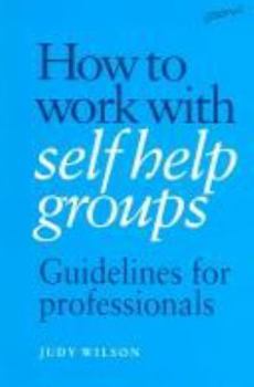 Hardcover How to Work with Self Help Groups: Guidelines for Professionals Book