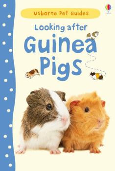 Hardcover Looking After Guinea Pigs (Usborne Pet Guides) Book