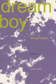 Hardcover Dream Boy: A Novel Book