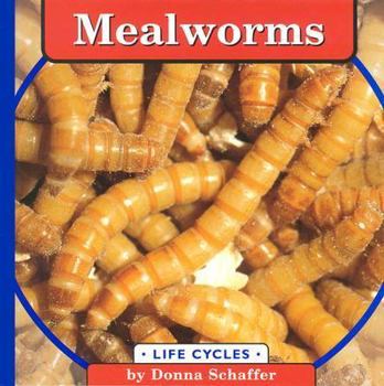 Hardcover Mealworms Book