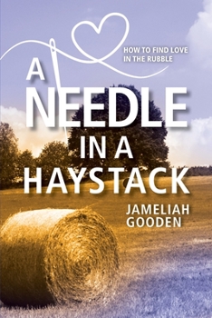 Paperback A Needle in a Haystack: How to Find Love in the Rubble Book