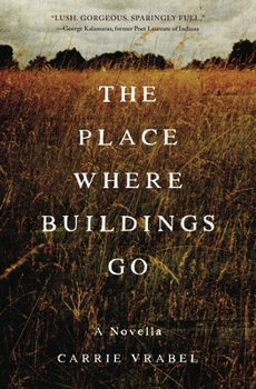 Paperback The Place Where Buildings Go Book