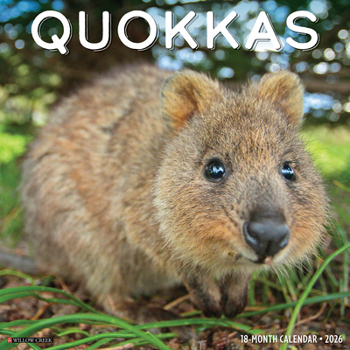 Calendar Quokkas 2026 Wall Calendar Book