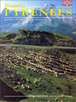 Paperback Wonderful Pyrennees (Colour Guides: France) Book