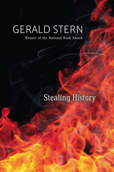 Hardcover Stealing History Book