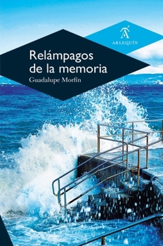 Paperback Relámpagos de la memoria [Spanish] Book