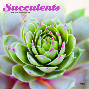 Calendar Succulents 2023 Square Book