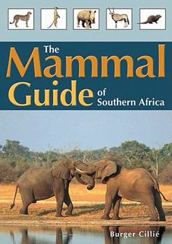 Paperback The Mammal Guide of Southern Africa Book