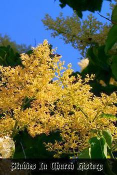 Paperback Studies In Church History: Volume 4 Centuries 17 - 18 Book