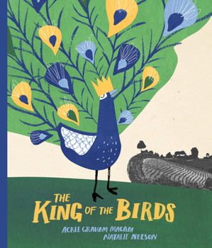 Hardcover The King of the Birds Book