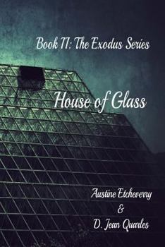 Paperback House of Glass Book