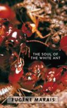 Paperback The Soul of the White Ant Book