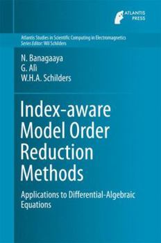 Hardcover Index-Aware Model Order Reduction Methods: Applications to Differential-Algebraic Equations Book