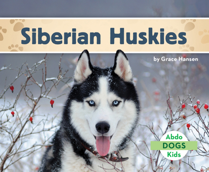 Library Binding Siberian Huskies Book
