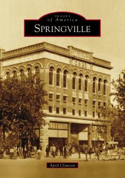 Paperback Springville Book