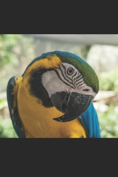 Ara: Notizbuch / Tagebuch Ara Vogel - DIN A5 120 Seiten liniert - Geschenke f�r Vogelliebhaber Vogelbeobachtung