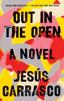 Paperback Out in the Open Book