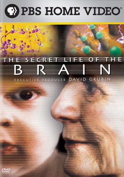DVD The Secret Life of the Brain Book
