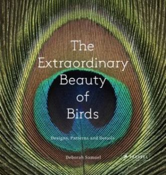 Hardcover The Extraordinary Beauty of Birds: Designs, Patterns and Details Book