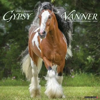 Calendar Gypsy Vanner Horse 2024 12 X 12 Wall Calendar Book