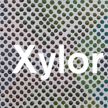 Paperback Xylor Jane (PICTUREBOX) Book