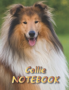 Paperback Collie NOTEBOOK: Notebooks and Journals 110 pages (8.5"x11") Book