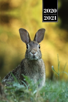 Rabbit Bunny Hare Rodent Week Planner Weekly Organizer Calendar 2020 / 2021 - Curious: Cute Wildlife Animal Pet Bullet Journal Notebook Diary in 6” x 9” Inch Pocket Size
