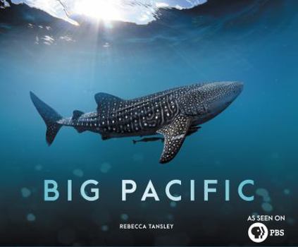 Hardcover Big Pacific: Passionate, Voracious, Mysterious, Violent Book