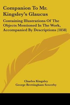 Paperback Companion To Mr. Kingsley's Glaucus: Containing Illustrations Of The Objects Mentioned In The Work, Accompanied By Descriptions (1858) Book