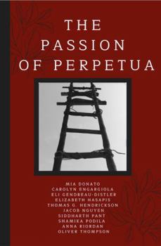 The Passion of Perpetua: A Latin Text of the Passio Sanctarum Perpetuae et Felicitatis with Running Vocabulary and Commentary