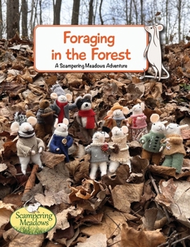 Paperback Foraging in the Forest Book