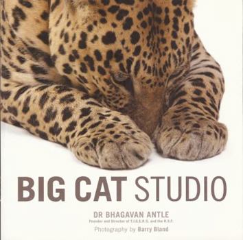 Paperback Big Cat Studio Book