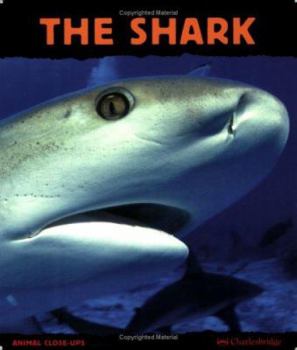The Shark: Silent Hunter (Animal Close-Ups) - Book  of the Animal Close-Ups