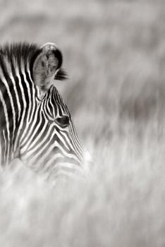 Paperback Alive! zebra stripes - Black and white - Photo Art Notebooks (6 x 9 series) Book