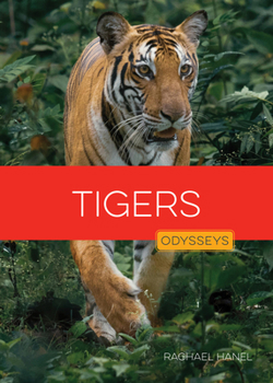 Library Binding Tigers Book