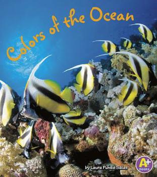 Colors of the Ocean - Book  of the Colors All Around
